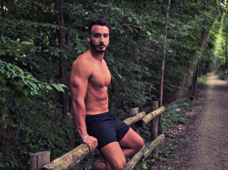 Handsome Muscular Shirtless Hunk Man Outdoor in Country Leaning Against Fence