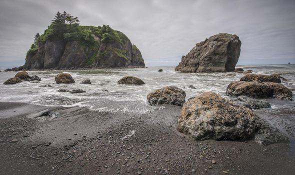 Rocky Sea Stacks on the Washington State Coast