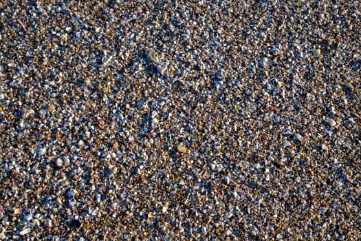 Natural sand surface with shell fragments and small pebbles for use as a background
