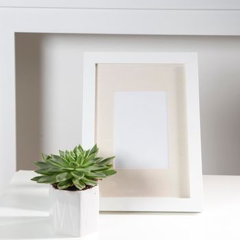 Layout for the office. echeveria in a geometric pot and photo frame. Place for text
