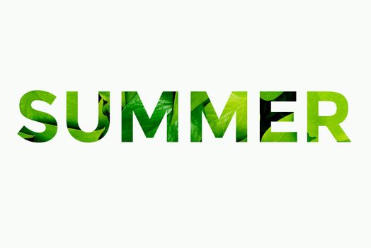 Word summer made from fresh leaves on a white background. Summer concept. Summer background.