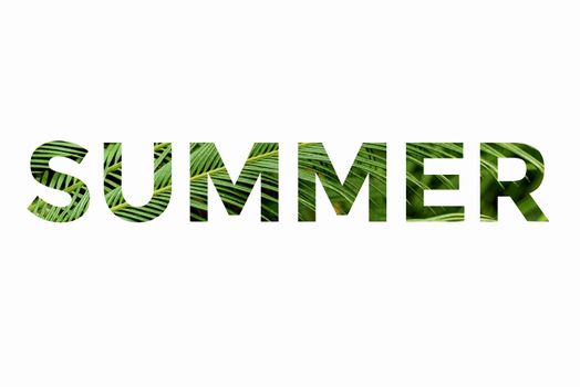The word summer from a palm leaf on a white background. Summer concept. Summer background
