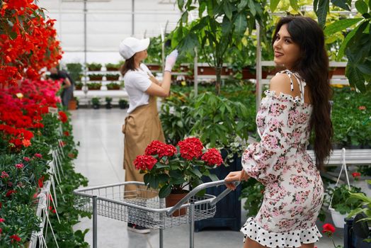 Woman with shopping trolley choosing flowers at greenhouse