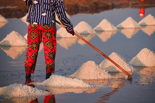 A Slatfield Worker Harvesting Salt