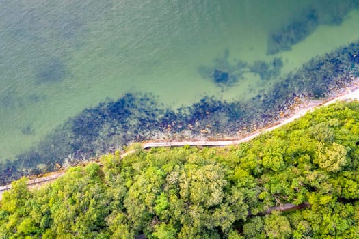 Aerial top view from drone to the coastline covered with green forest near the sea.