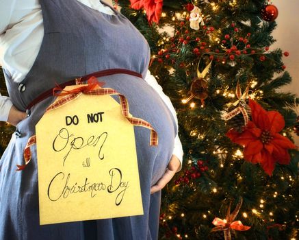 Pregnant woman showing belly with Christmas tree and "Do not open till Christmas Day" sign
