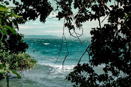 View of blue sea and sky framed by thick foliage