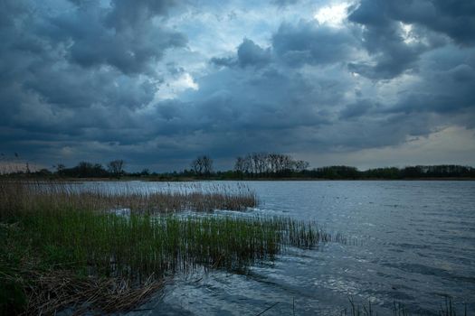 Cloudy sky over a lake with reeds