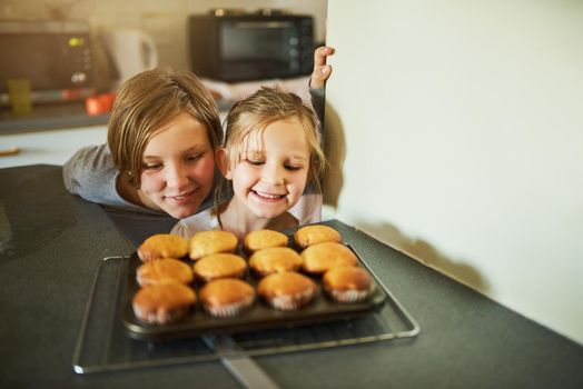 Homemade happiness. Cropped shot of two young siblings looking at some freshly baked cupcakes.
