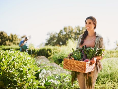 Bringing in a bountiful harvest. Shot of a happy young farmer harvesting herbs and vegetables in a basket on her farm.