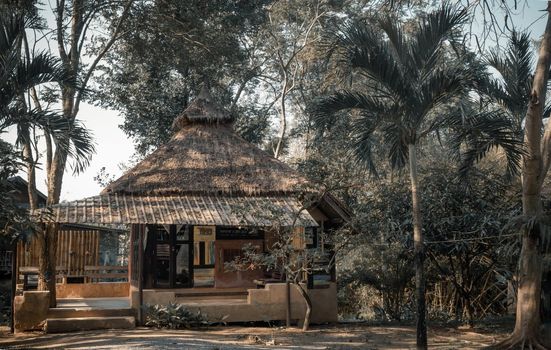 Beautiful view of Tropical cottage or Tropical wooden house, Summer wooden bungalow, Summer cabin design surrounded by a beautiful tropical park. Selective focus.