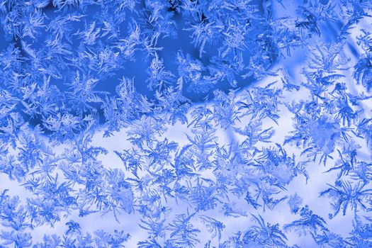 Bright blue frost pattern on a window glass as an abstract background