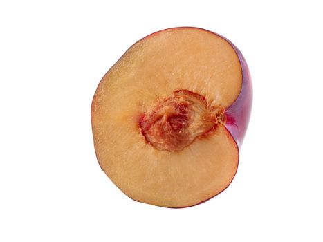 Half of a smooth-skinned, mellow, purple plum fruit with kernel isolated on white background with copy space for text or images. Side view. Close-up.
