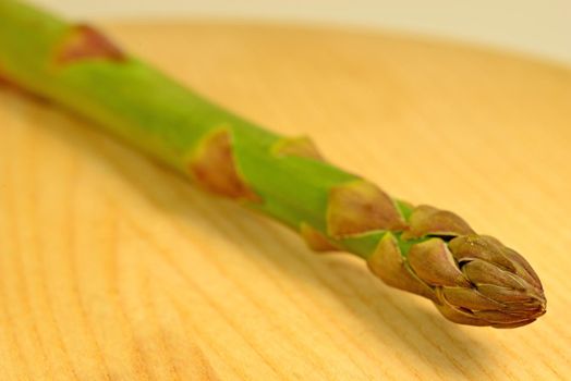 fresh green asparagus in a closeup
