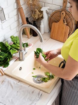 Woman Washing spinach in the Kitchen Sink
