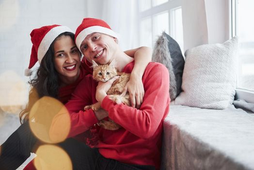 Hugging each other. Portrait of couple with little kitty celebrates holidays in new year clothes