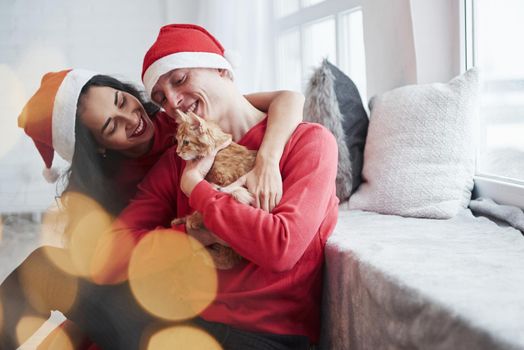 Looking at cat and smiling. Portrait of couple with little kitty celebrates holidays in new year clothes