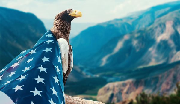 Eagle With American Flag