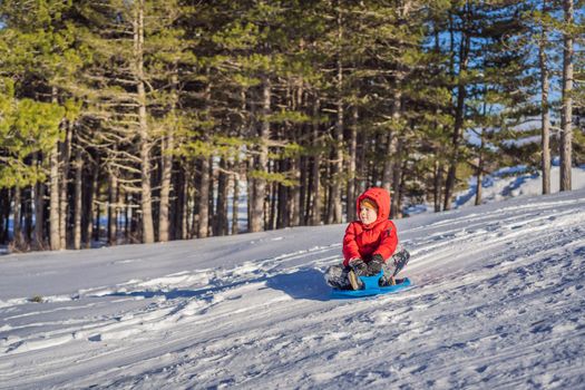 happy and positive little boy enjoying sledding and cold weather outdoor, winter fun activity concept.