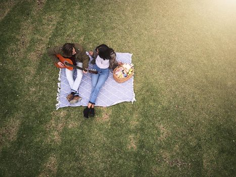 High angle shot of a young couple having a romantic date in the park.