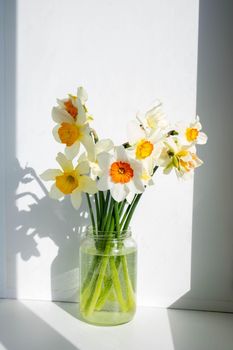 A bouquet of daffodils in a jar, on a white background on a window on a sunny day