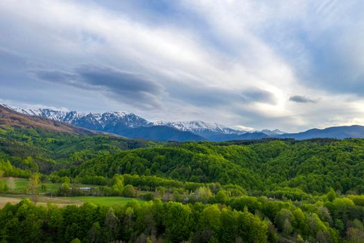 Sunny mountain scenery with vivid green forest on hill and snowy mountains in sunlight in low clouds.