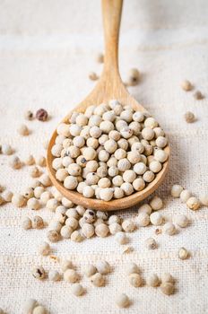 White pepper seeds (peppercorn) in wooden spoon on tablecloth background.
