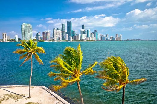 Miami skyline bright sunny day view