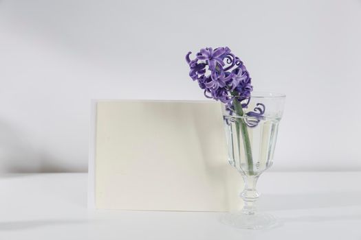 Blank wedding invitation stationery card mockup with envelope on white background with hyacinth flowers, feminine blog. Valentines day card, valentines day background, mothers day