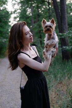 pretty brunette woman with little puppy purebred dog yorkshire terrier in park. happy carefree suburb life