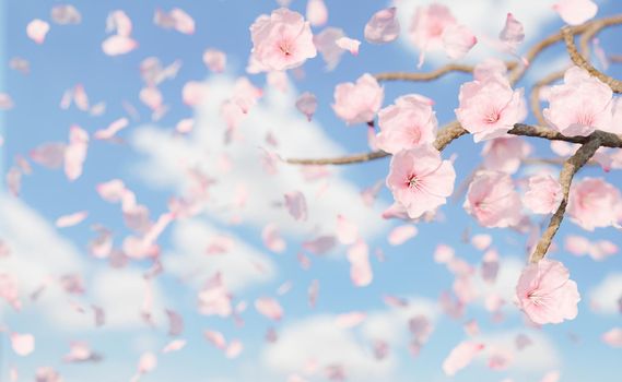 background of falling cherry blossoms and petals