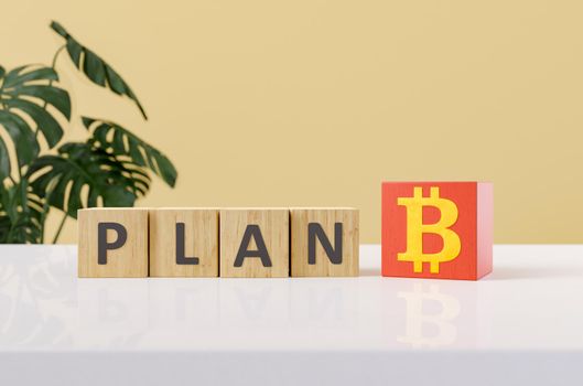bitcoin as an alternative, plan b