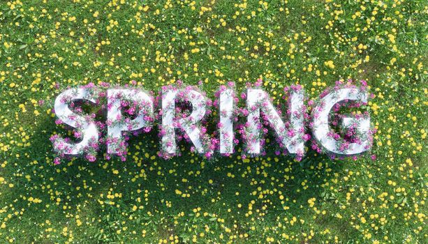spring sign with flowers over a field full of flowers
