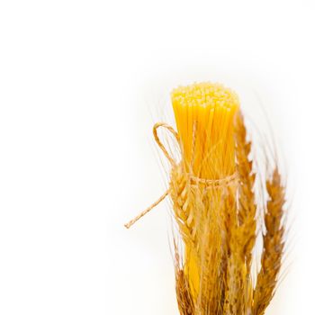 organic Raw italian pasta and durum wheat 