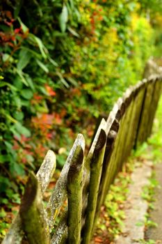 old crooked wooden fence