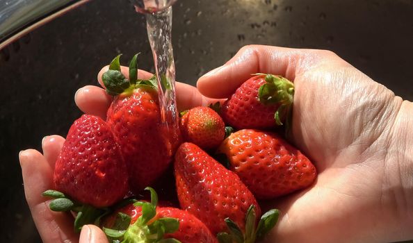Strawberries in female hands under water jet of faucet for washing.