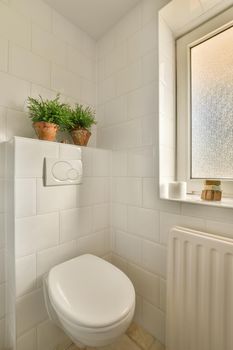 The interior of the bathroom with indoor plants