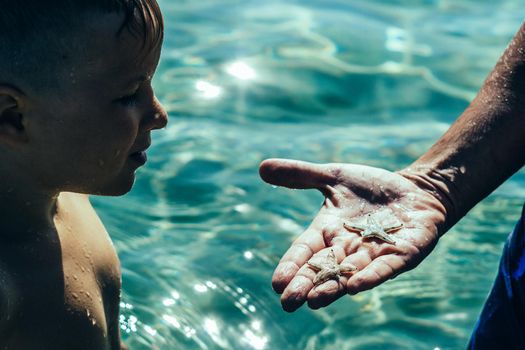 Man male hand arm close photo. Father hold show starfish on open palm. Child son look explore new world, family education curiosity inquisitive. Clear water sea vocation travel love care together