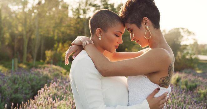 These are two humans who were made for each other. Cropped shot of an affectionate young lesbian couple standing with their arms around each other in a meadow on their wedding day.