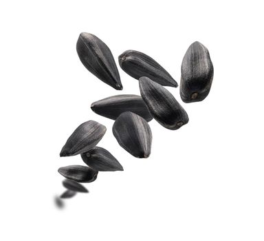 Sunflower seeds levitate on a white background