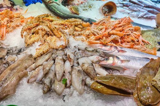 Fish, crustaceans and other seafood for sale