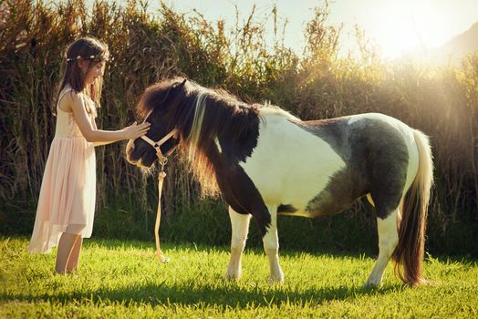 The best of friends. Shot of a cute little girl playing with her pony outside.