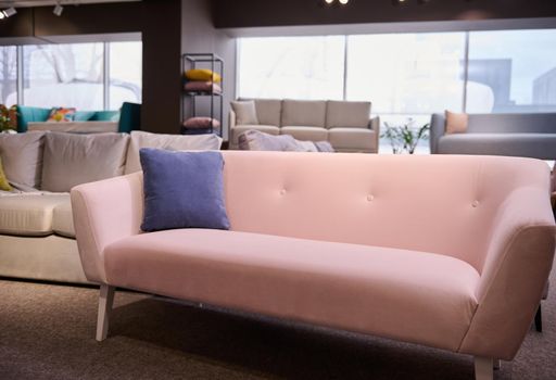 Stylish pink sofa with purple cushion in the showroom of upholstered furniture. Furniture store with sofas and couches on display for sale, copy space. Furniture store showroom interior.