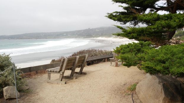 Empty wooden bench, rest on footpath trail. Ocean beach, California coast, trees