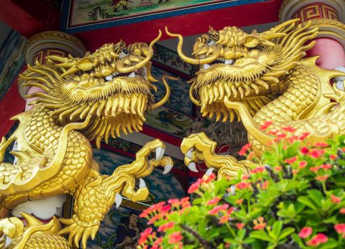 Gold dragon sculpture and Red flower of Christ Thorn in Chinese religious venues