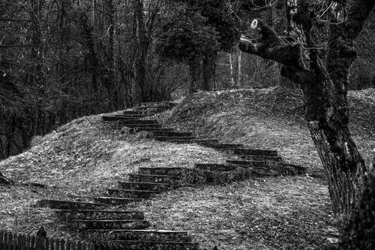 Mystery stone stairs in the forest