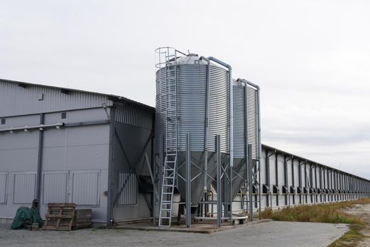 large scale commercial chicken farm with two grain storage silos for the storage of poultry feed