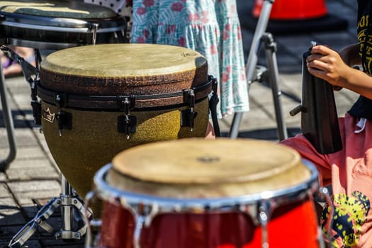 Image of drum (Bongo)
