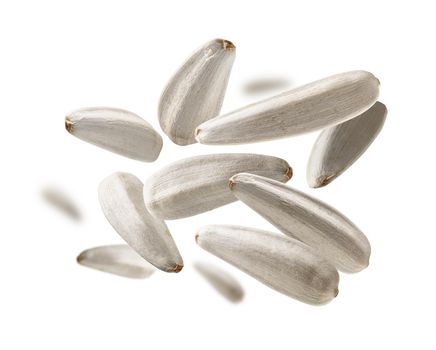 White sunflower seeds levitate on a white background