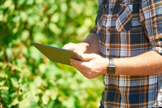 The digital revolution is changing the face of agriculture. Cropped shot of a farmer using a digital tablet while doing his rounds.